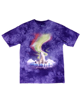 Load image into Gallery viewer, 2002 &quot;The Mountain&quot; Northern Lights Polar Bear T-Shirt - Size M
